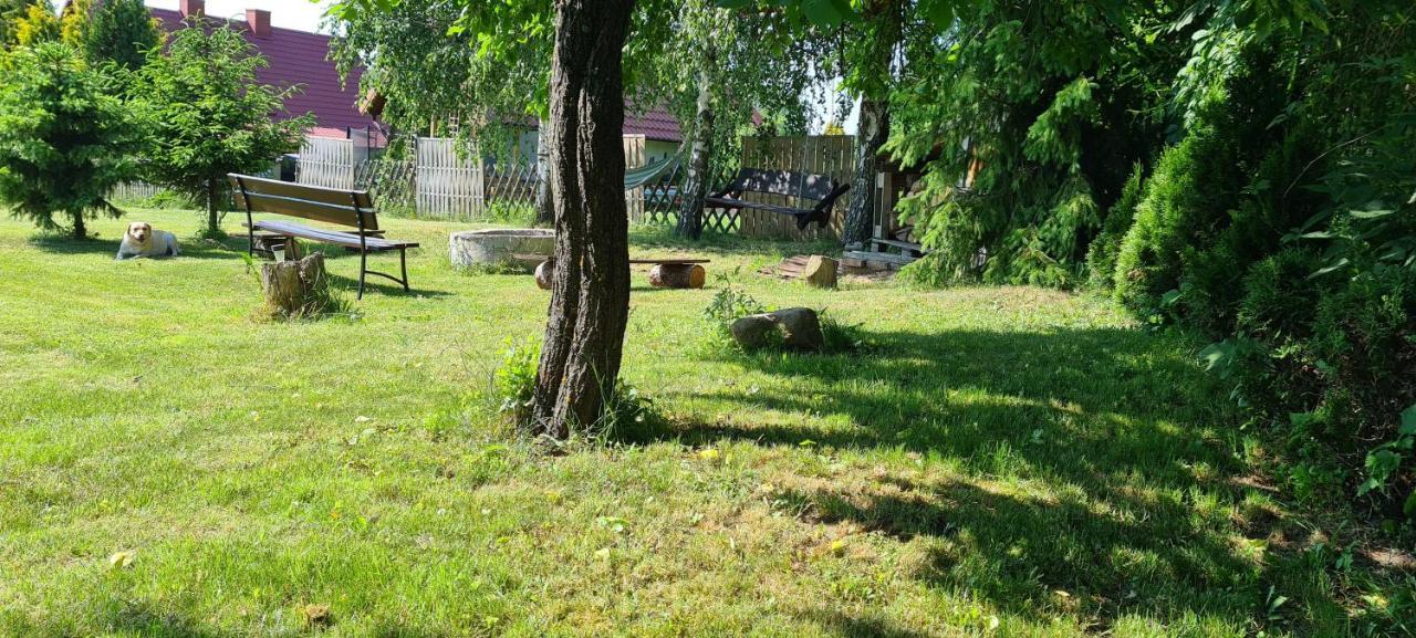 Oliwkowe Jerzykowo -Klimatyzacja Villa Radzieje Buitenkant foto