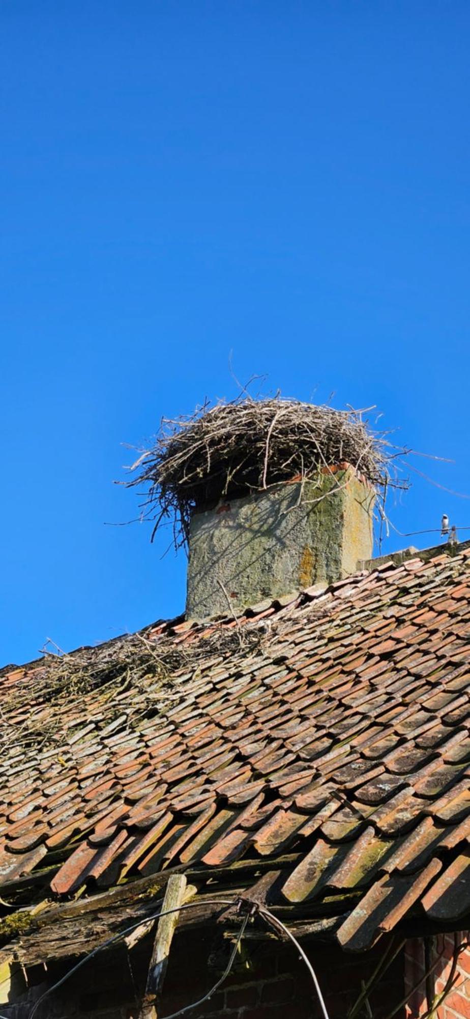 Oliwkowe Jerzykowo -Klimatyzacja Villa Radzieje Buitenkant foto